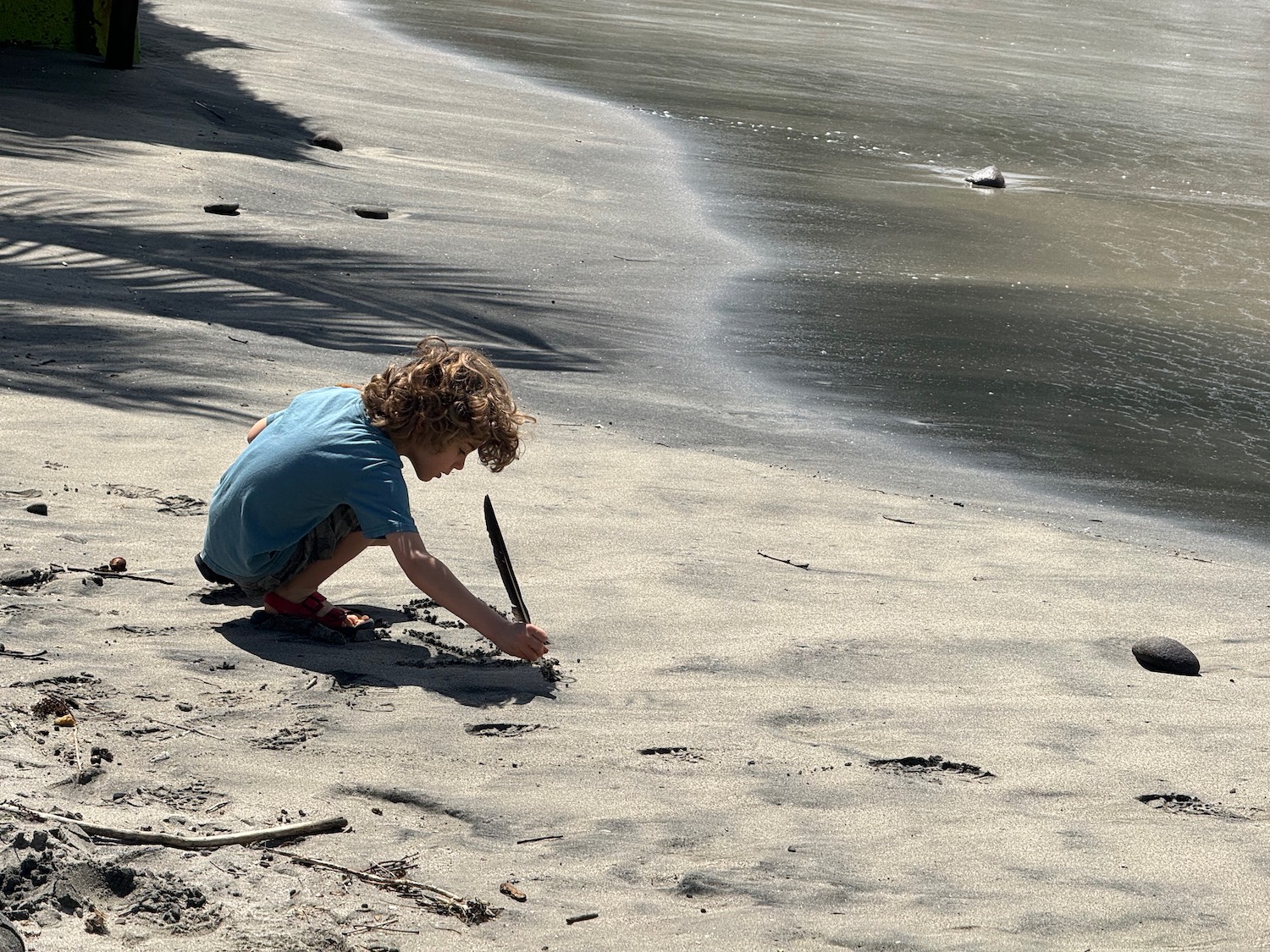 a child playing on the beach