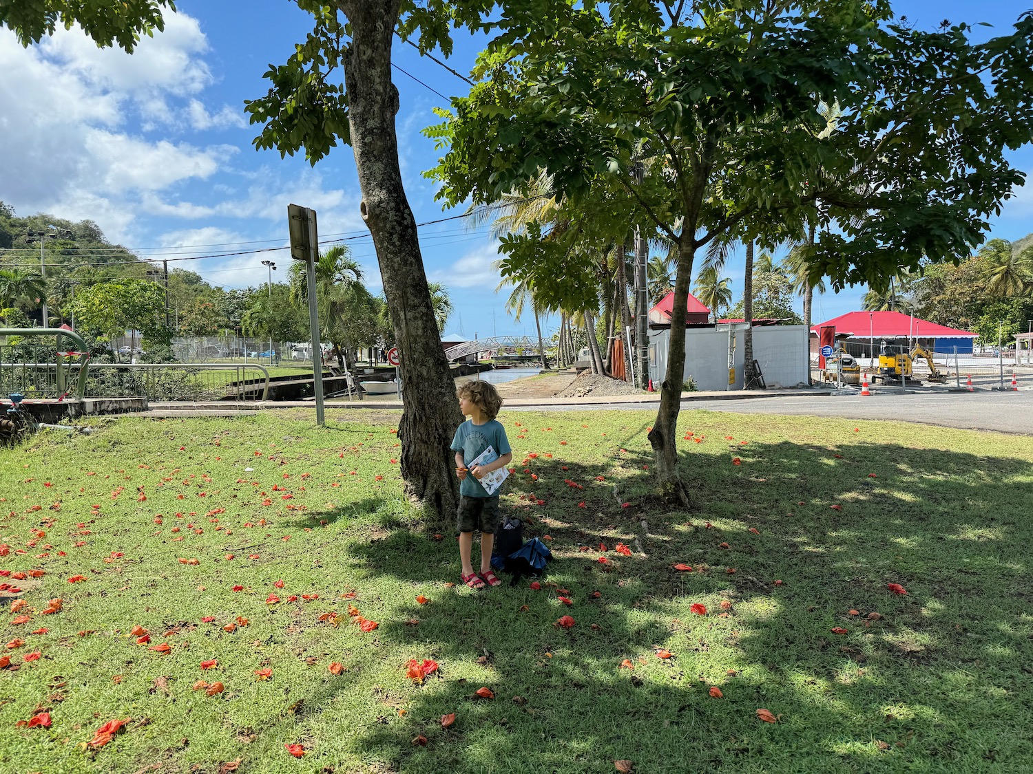 a child standing under a tree