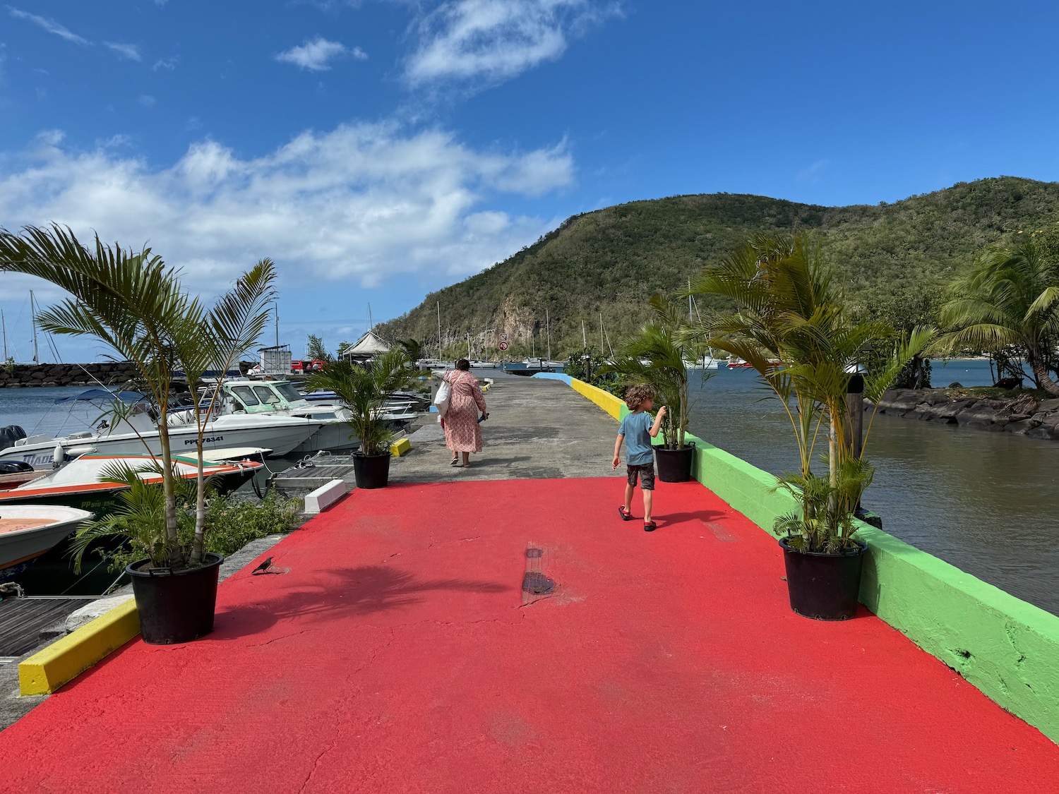 a woman and child walking on a red walkway with trees and water