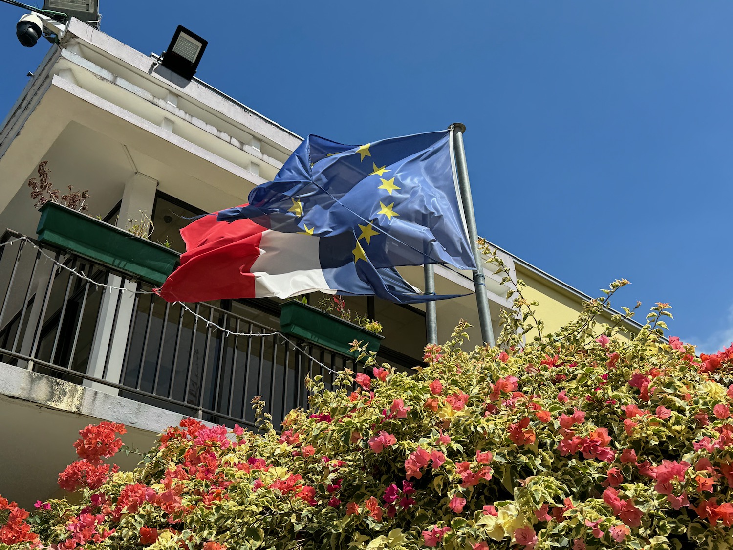 a flag on a pole