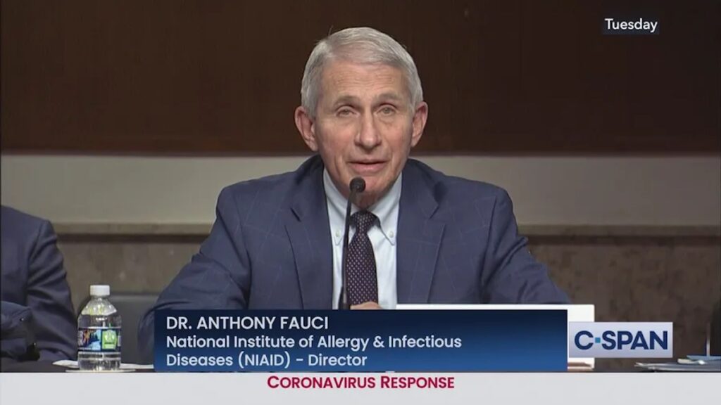 Fauci Confesses He 