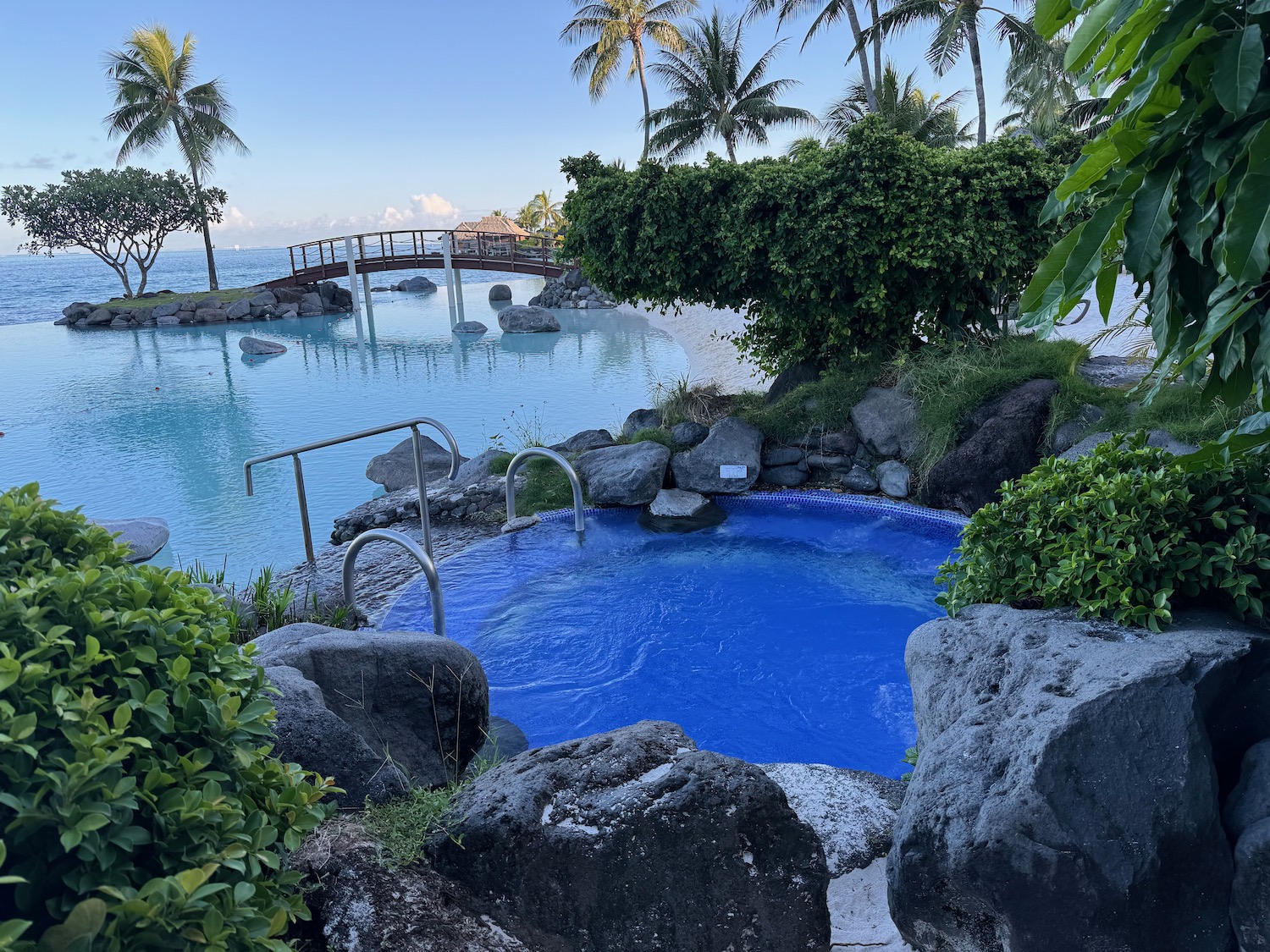 a pool with rocks and trees