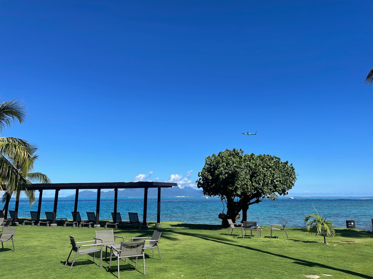 a lawn chairs and a tree by the water