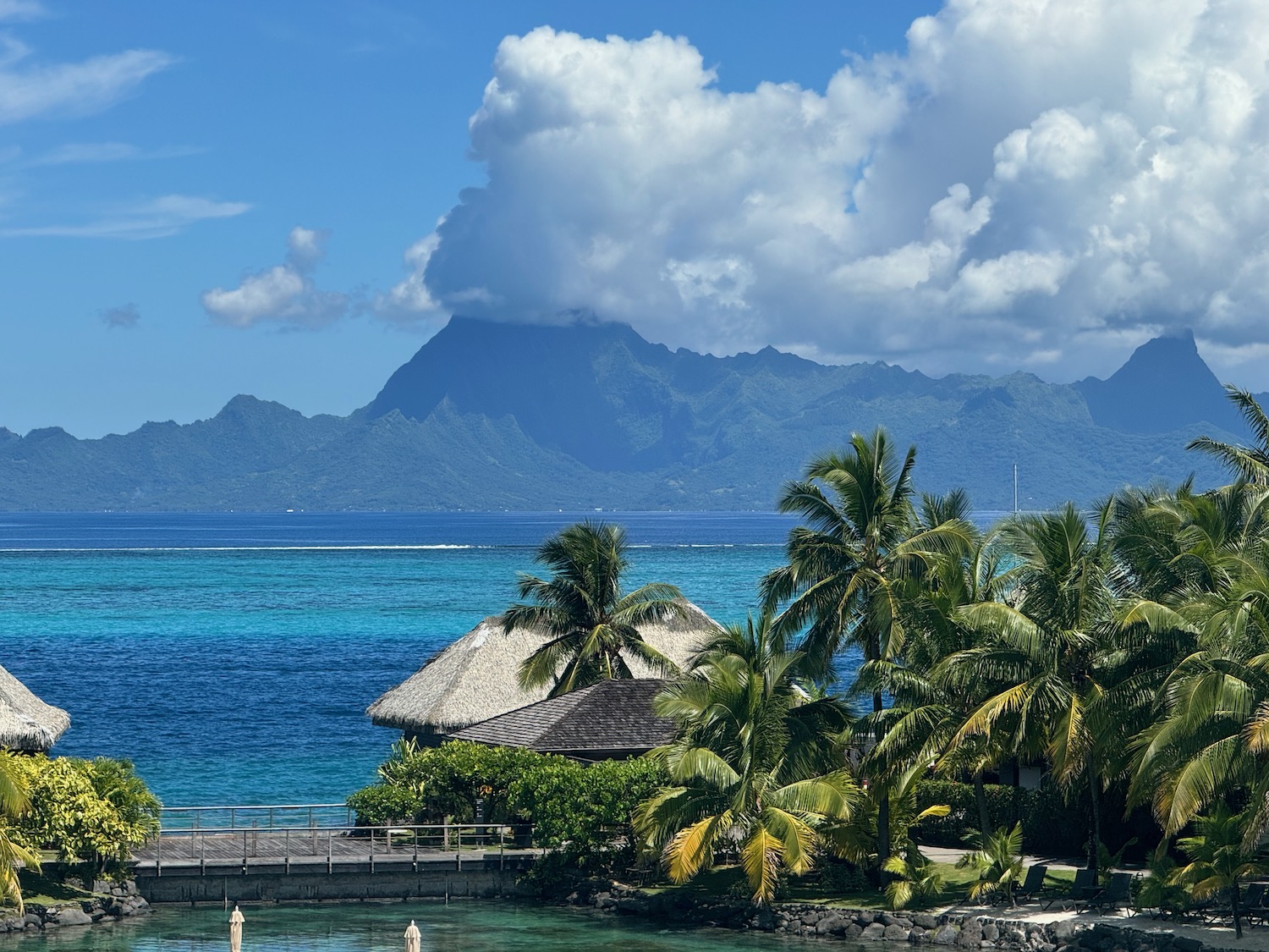 a hut on a small island with palm trees and a body of water