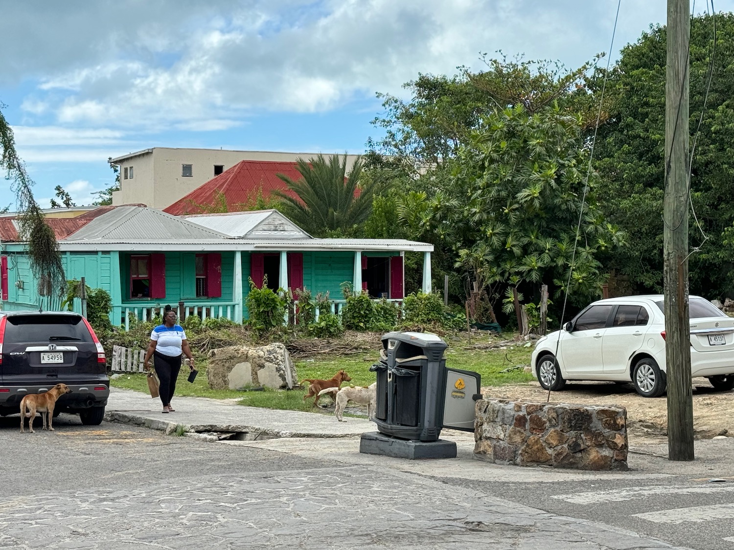 a woman walking on a street with cars and a house