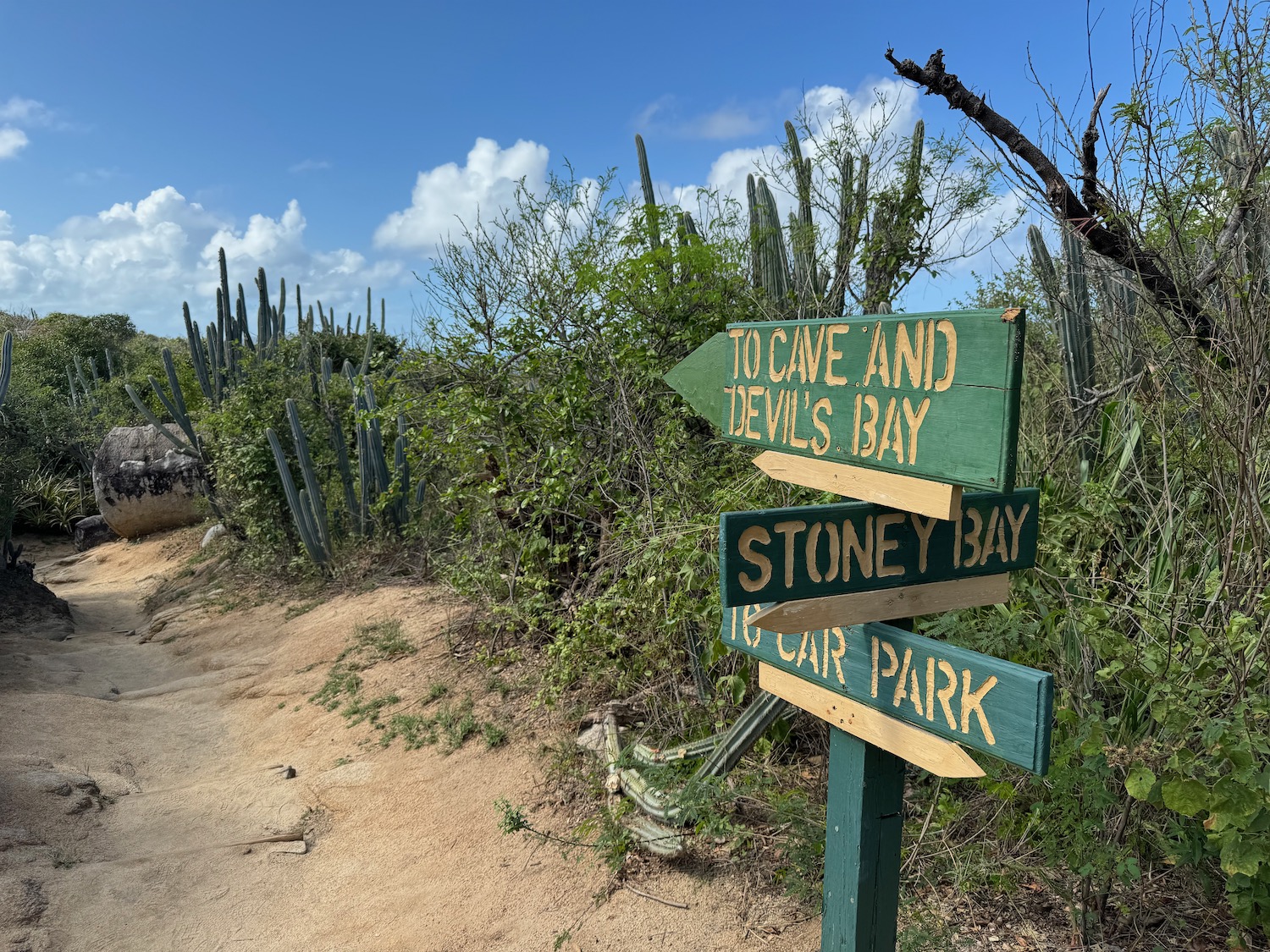 a sign post with a cactus and a blue sky