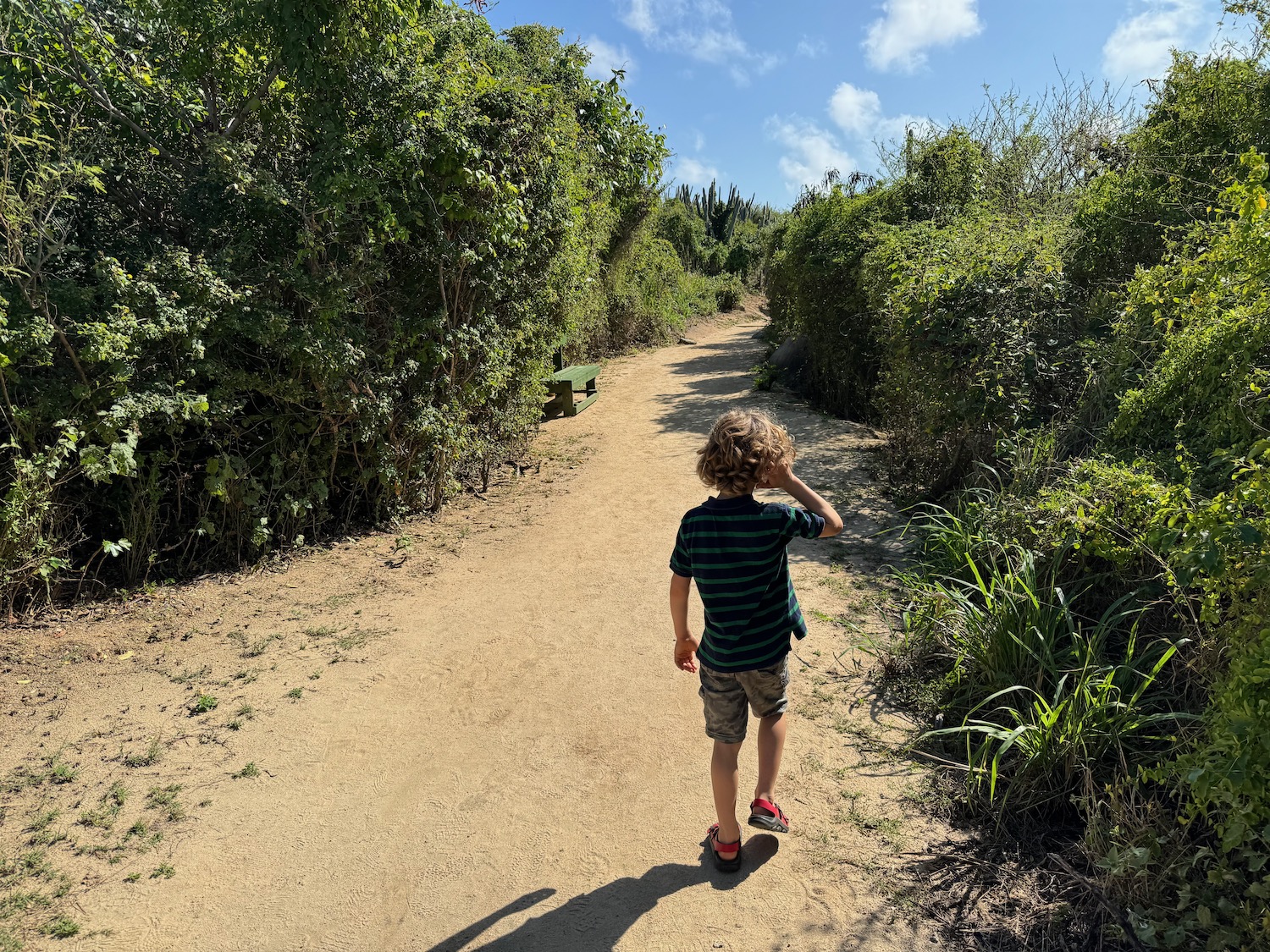 a boy walking on a dirt path with trees and blue sky
