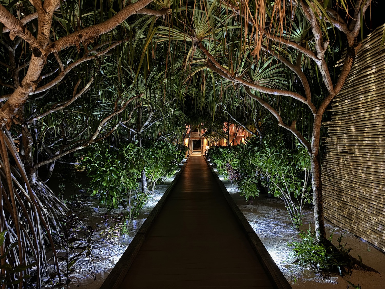 a walkway leading to a house