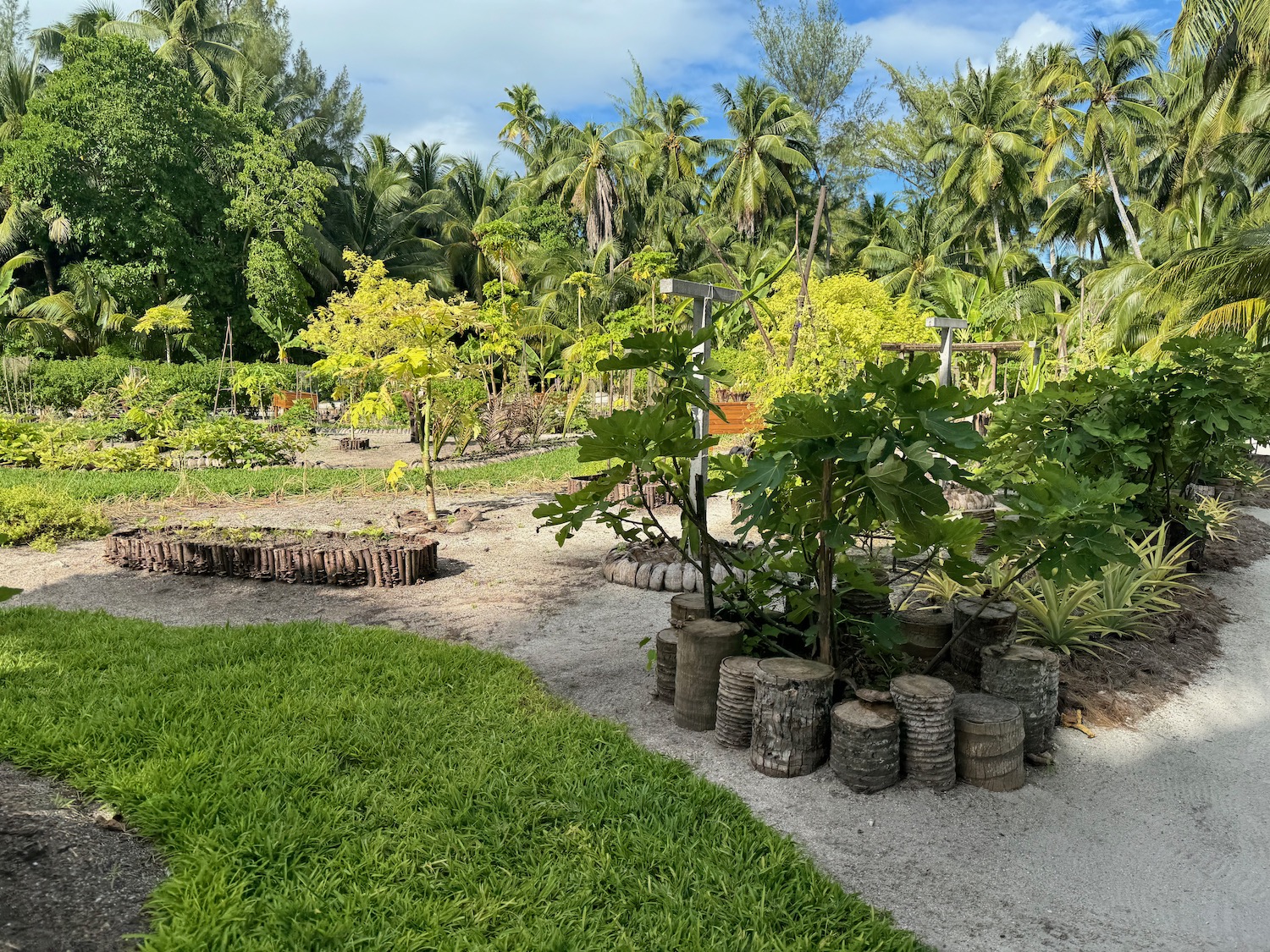 a garden with trees and grass