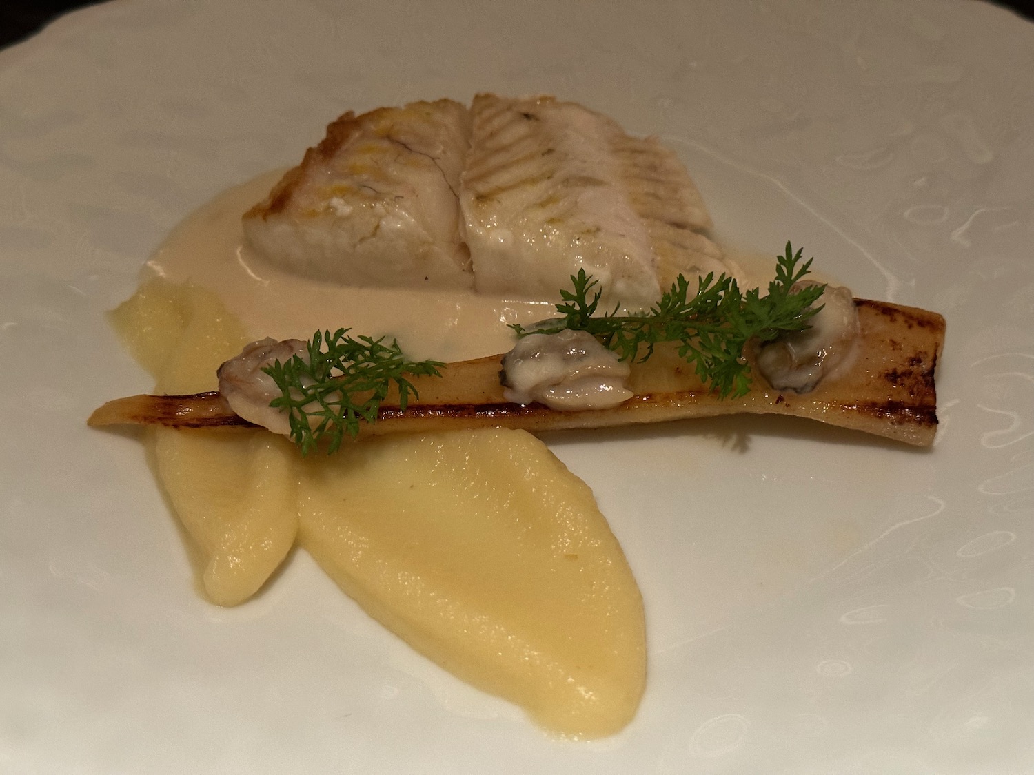 a fish and mashed potatoes on a white plate