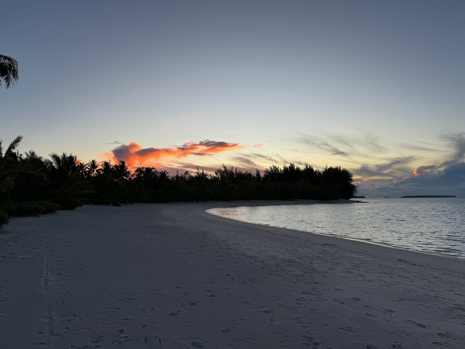 a beach with trees and water