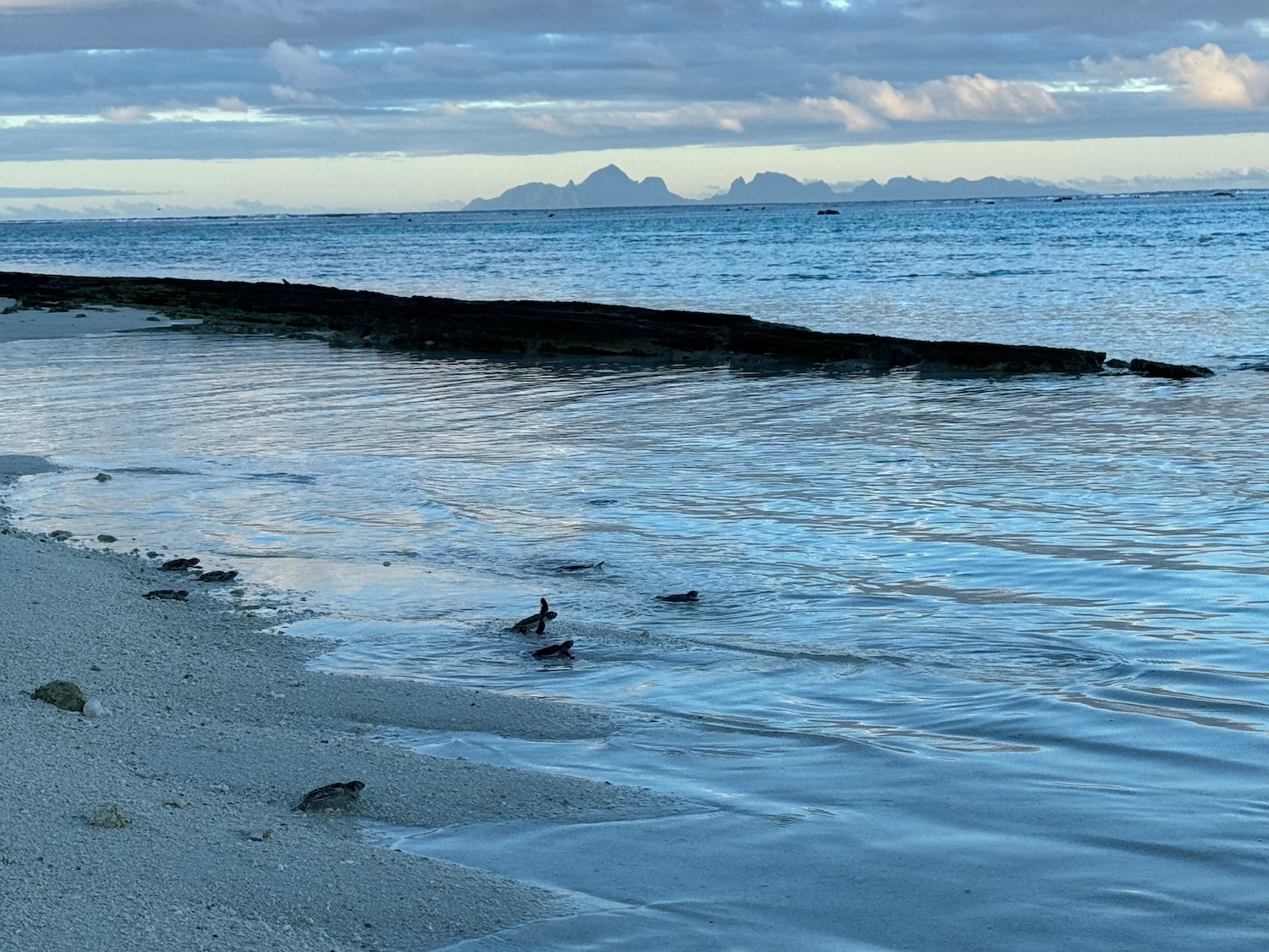 a beach with rocks in the water