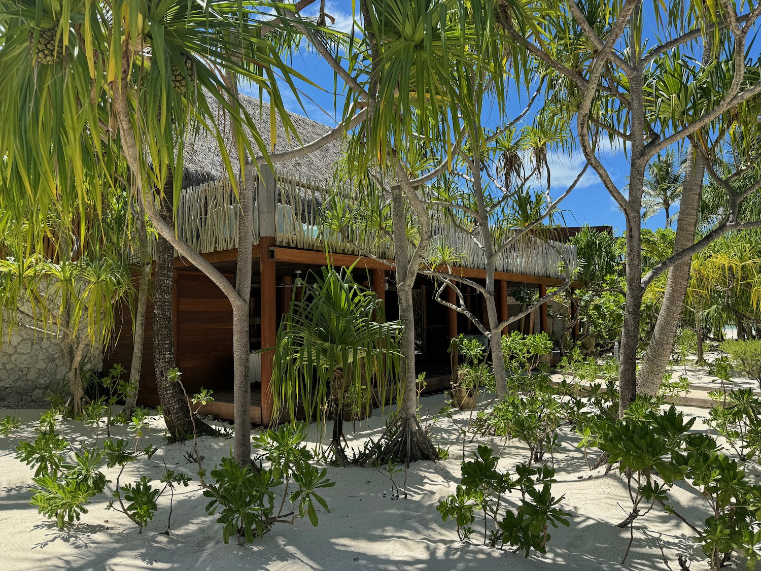 a house with trees around it