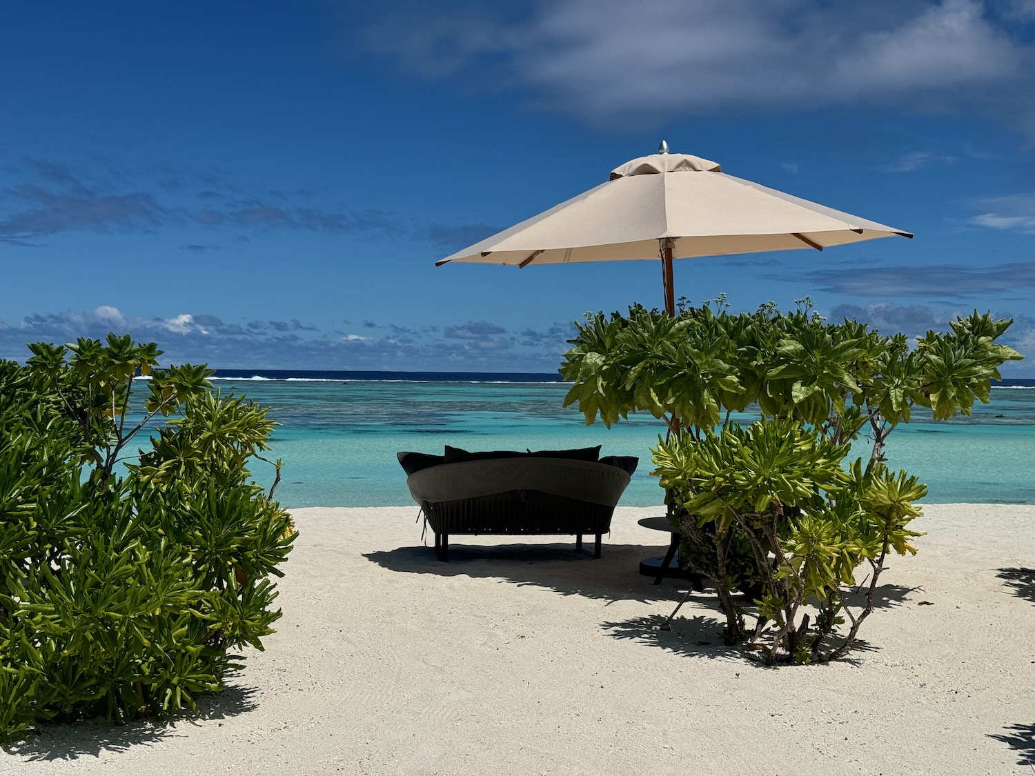 a chair and umbrella on a beach