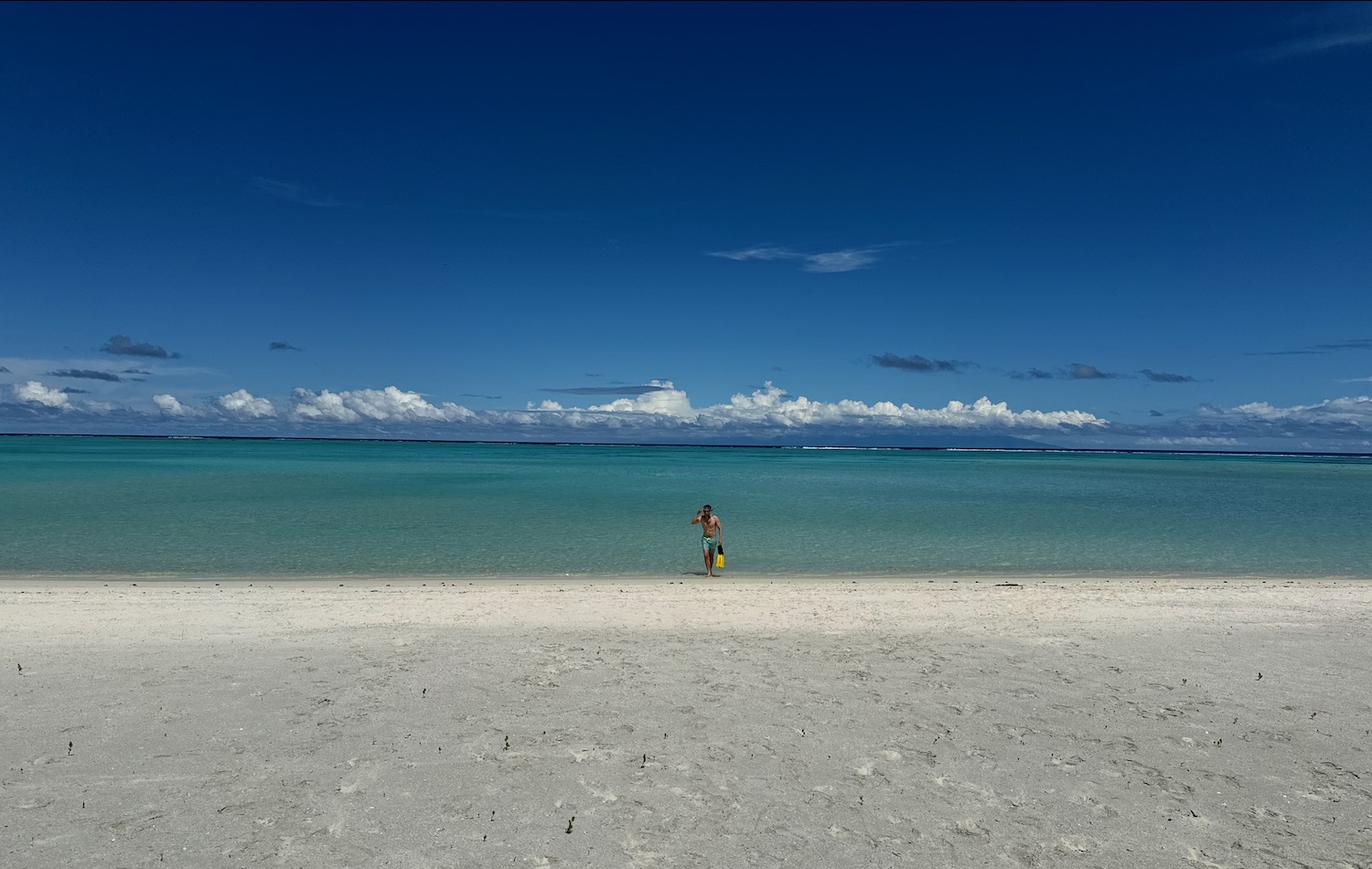 a man standing on a beach