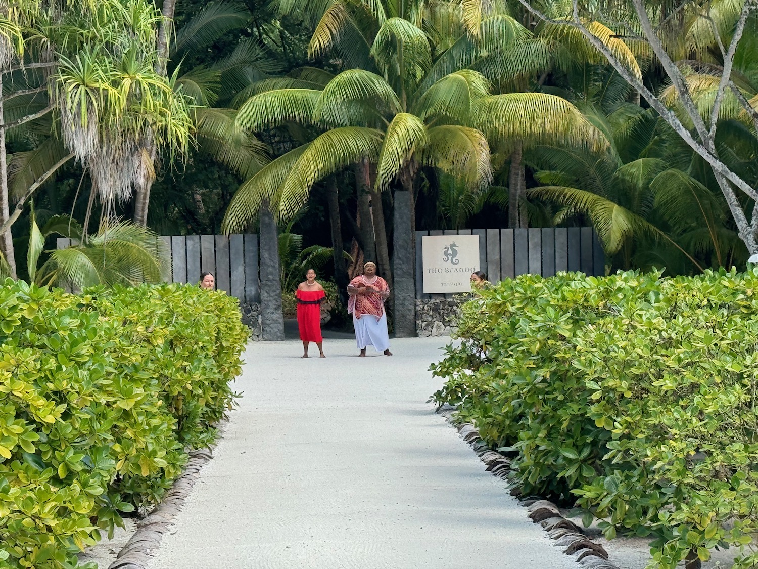 a group of people walking on a path with bushes and trees