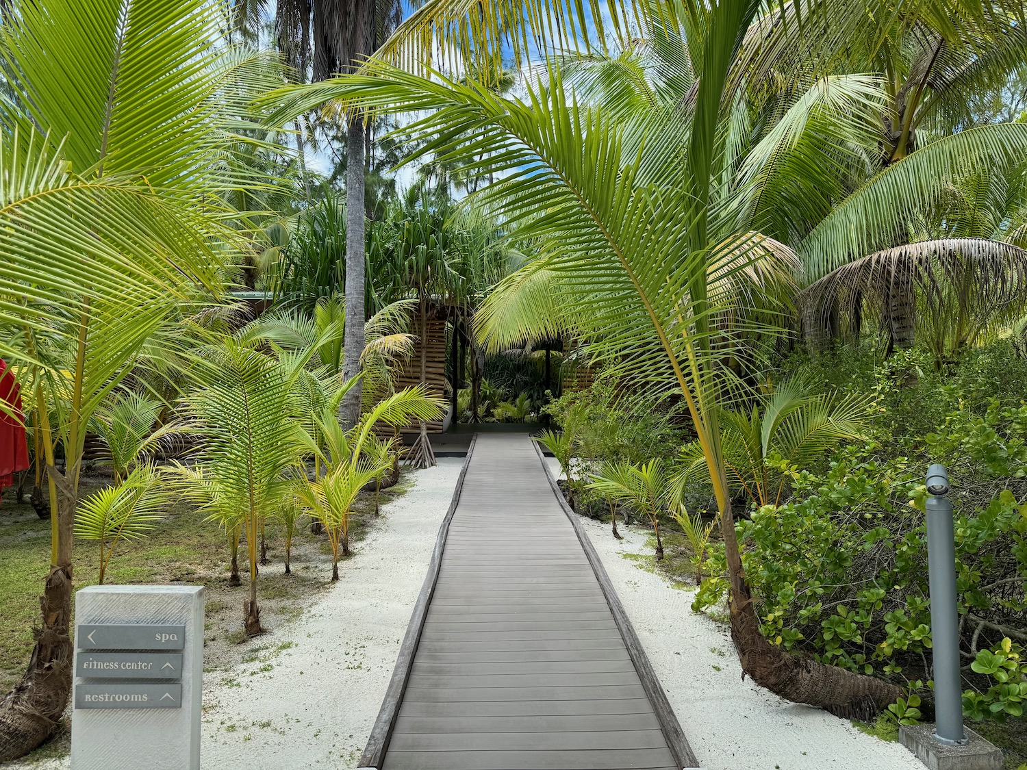 a path through a tropical garden