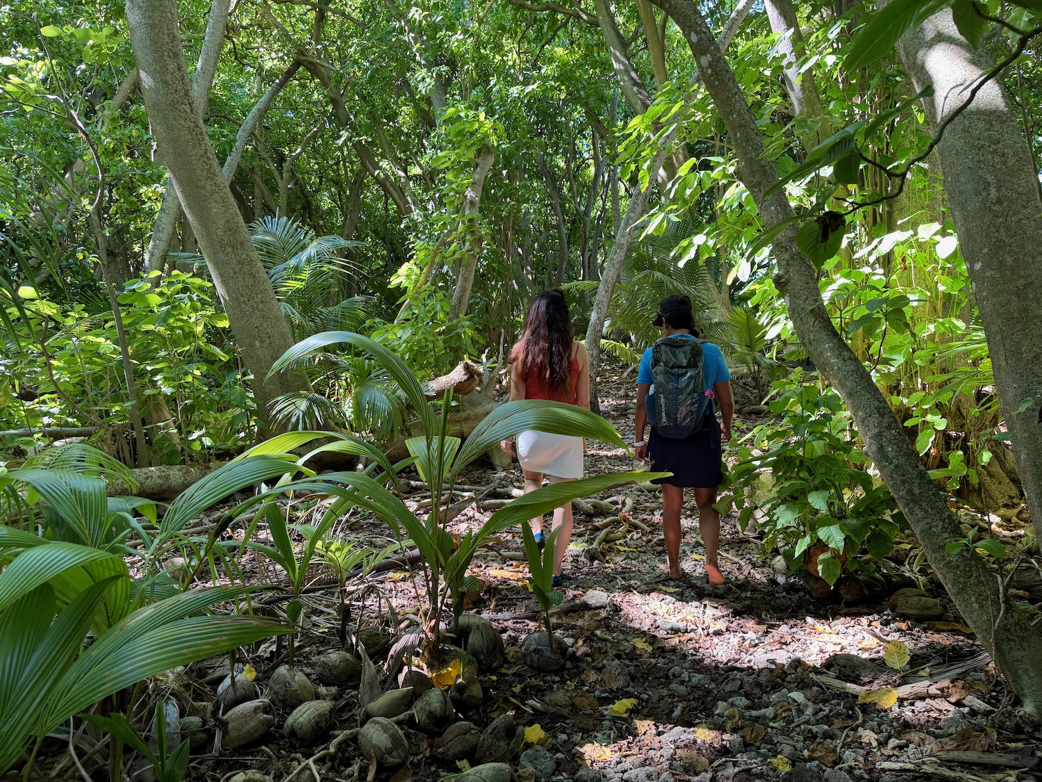 a man and woman walking through a forest