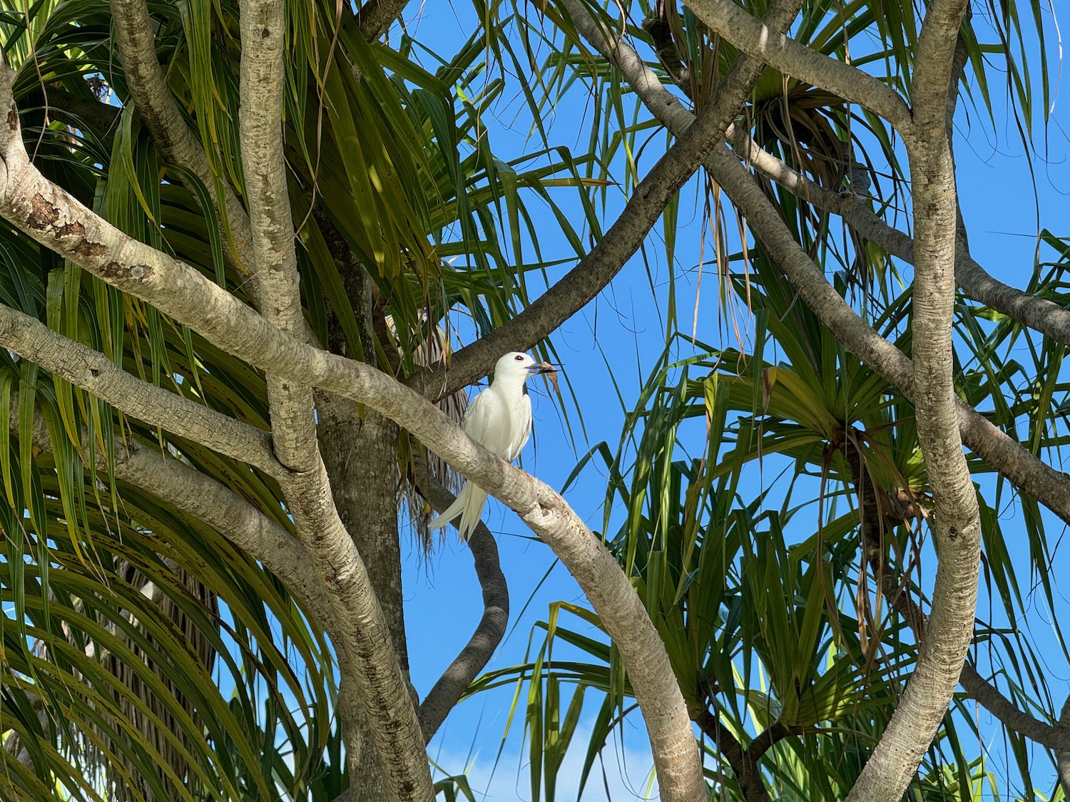 a bird sitting on a tree branch