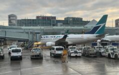 a plane parked at an airport