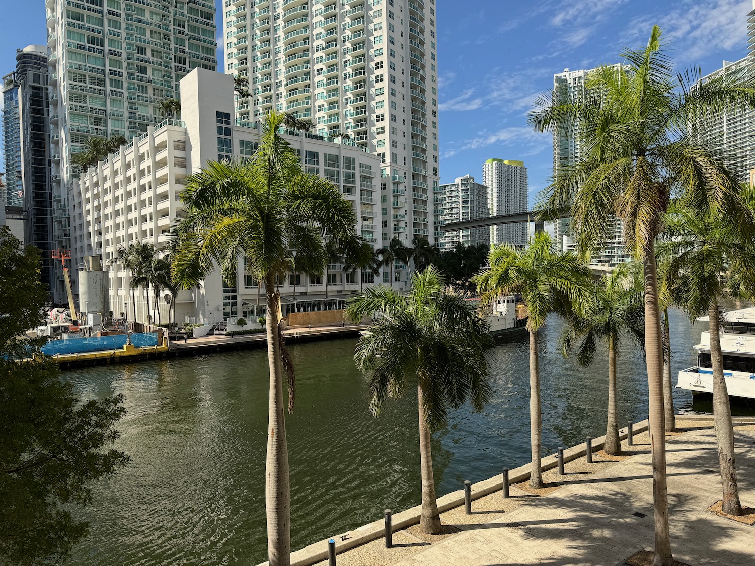 a river with palm trees and buildings in the background