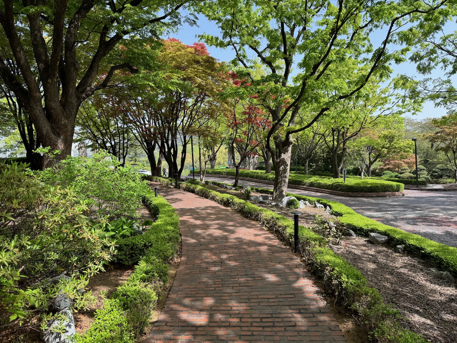 a brick path with bushes and trees