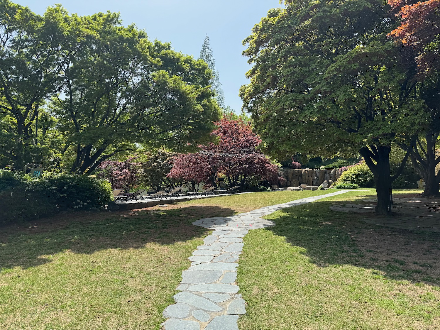 a stone path in a park