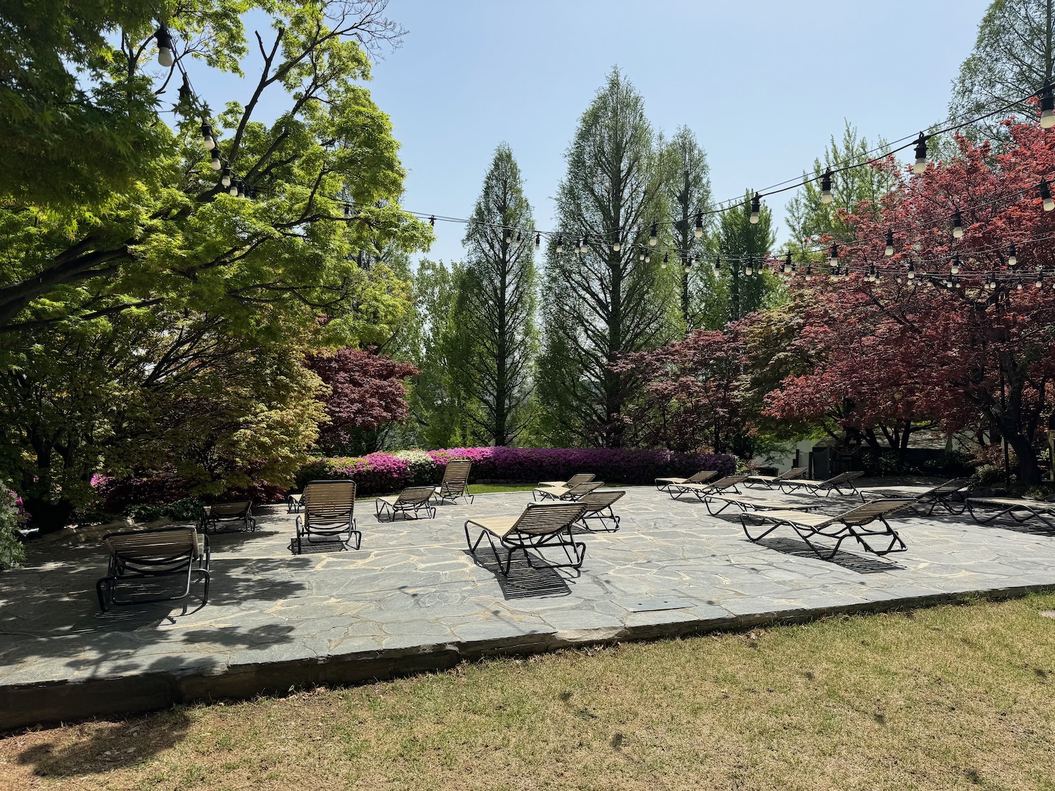 a group of chairs on a patio