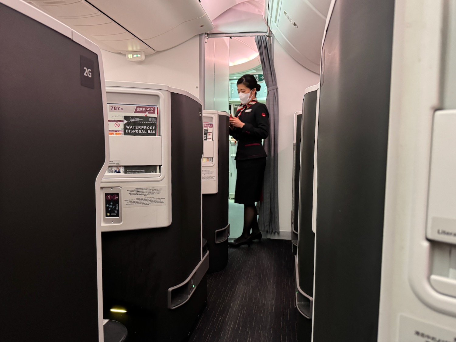 a woman wearing a mask standing in a plane