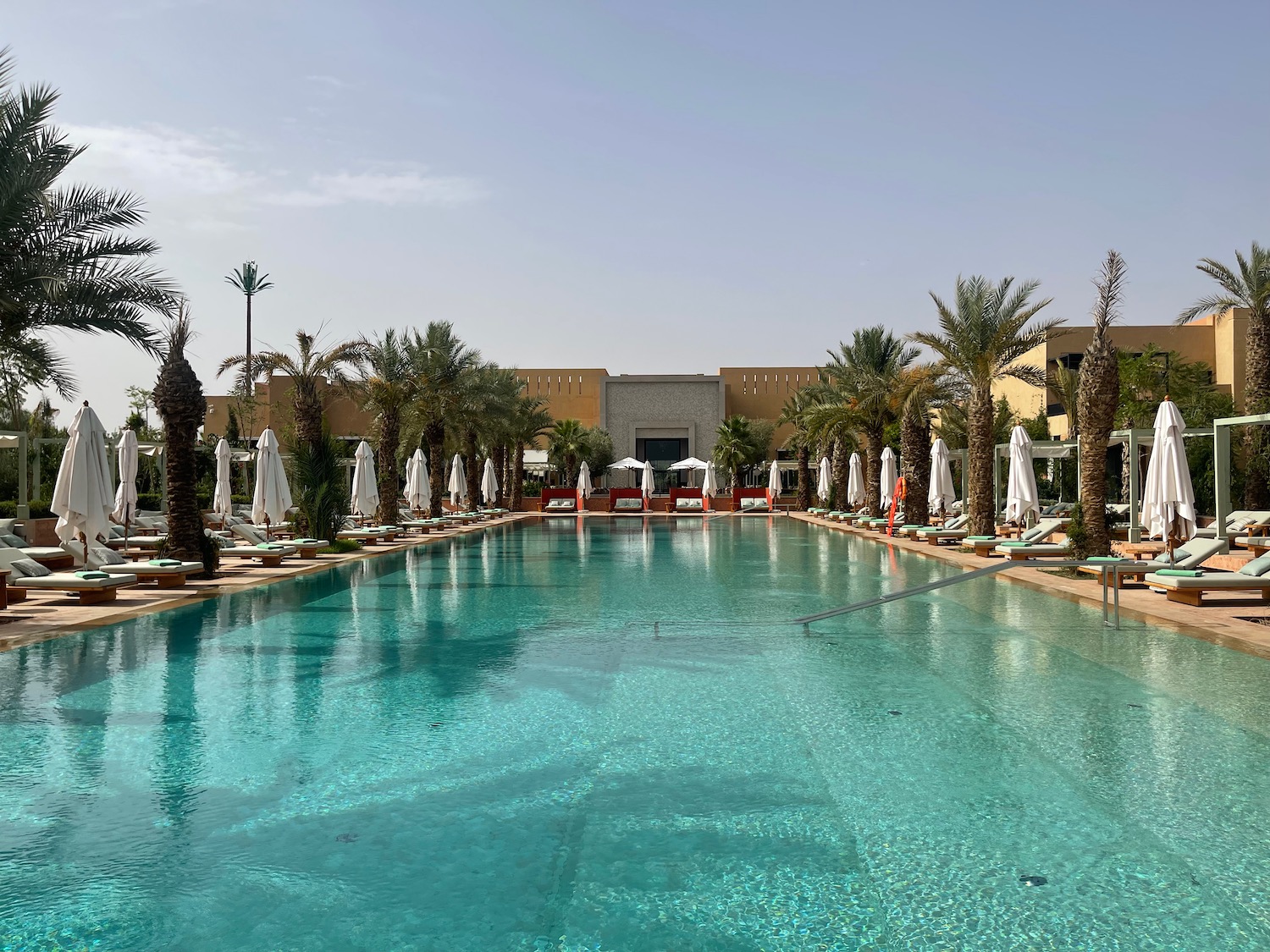 a swimming pool with palm trees and parasols