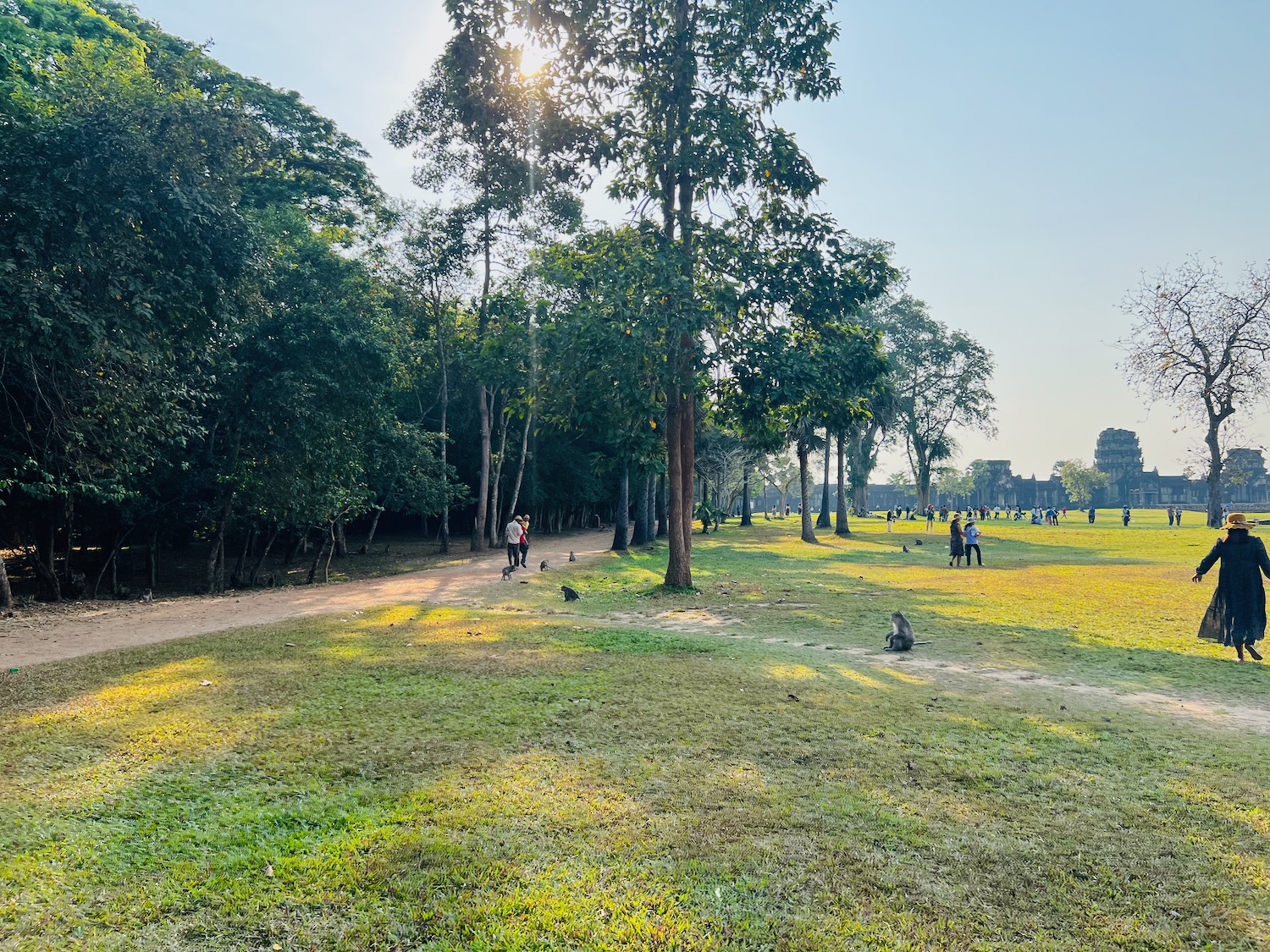 a group of people in a park