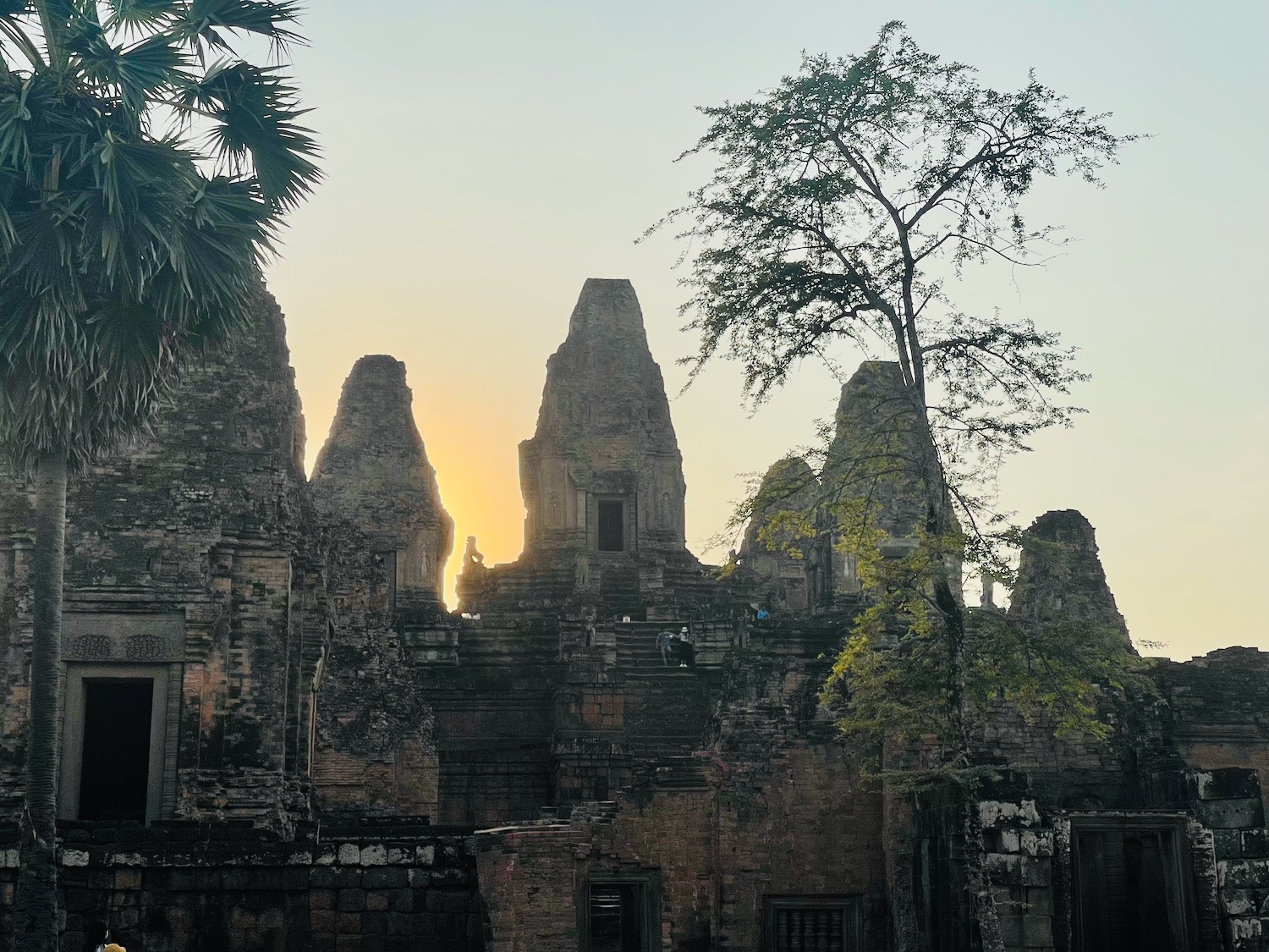 a ruins of a building with trees and a tree in the background