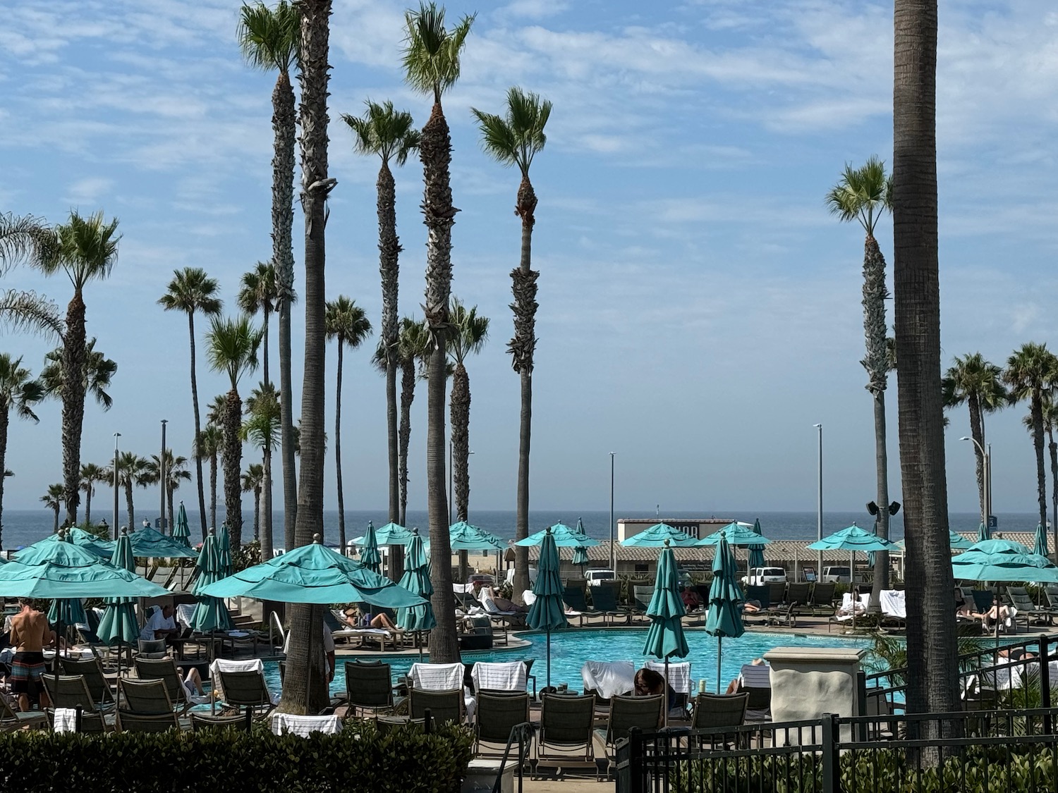 a pool with umbrellas and palm trees