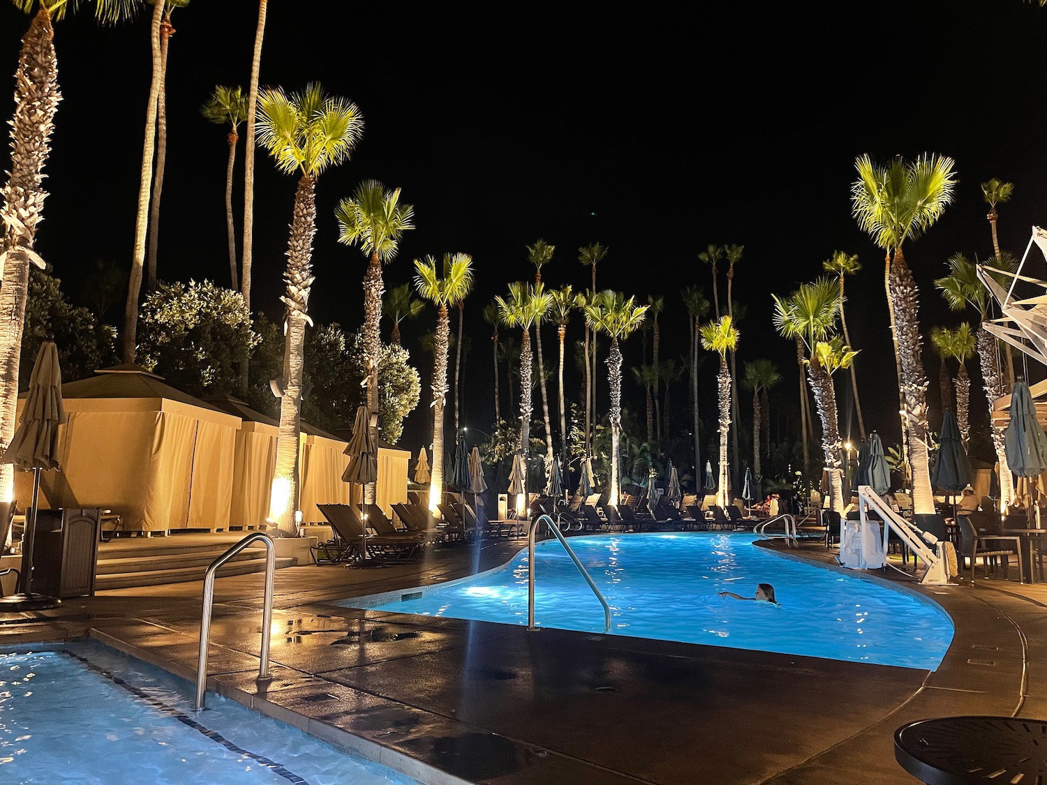 a pool with palm trees and chairs