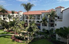 a building with palm trees and a lawn