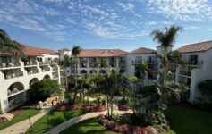 a building with palm trees and a walkway