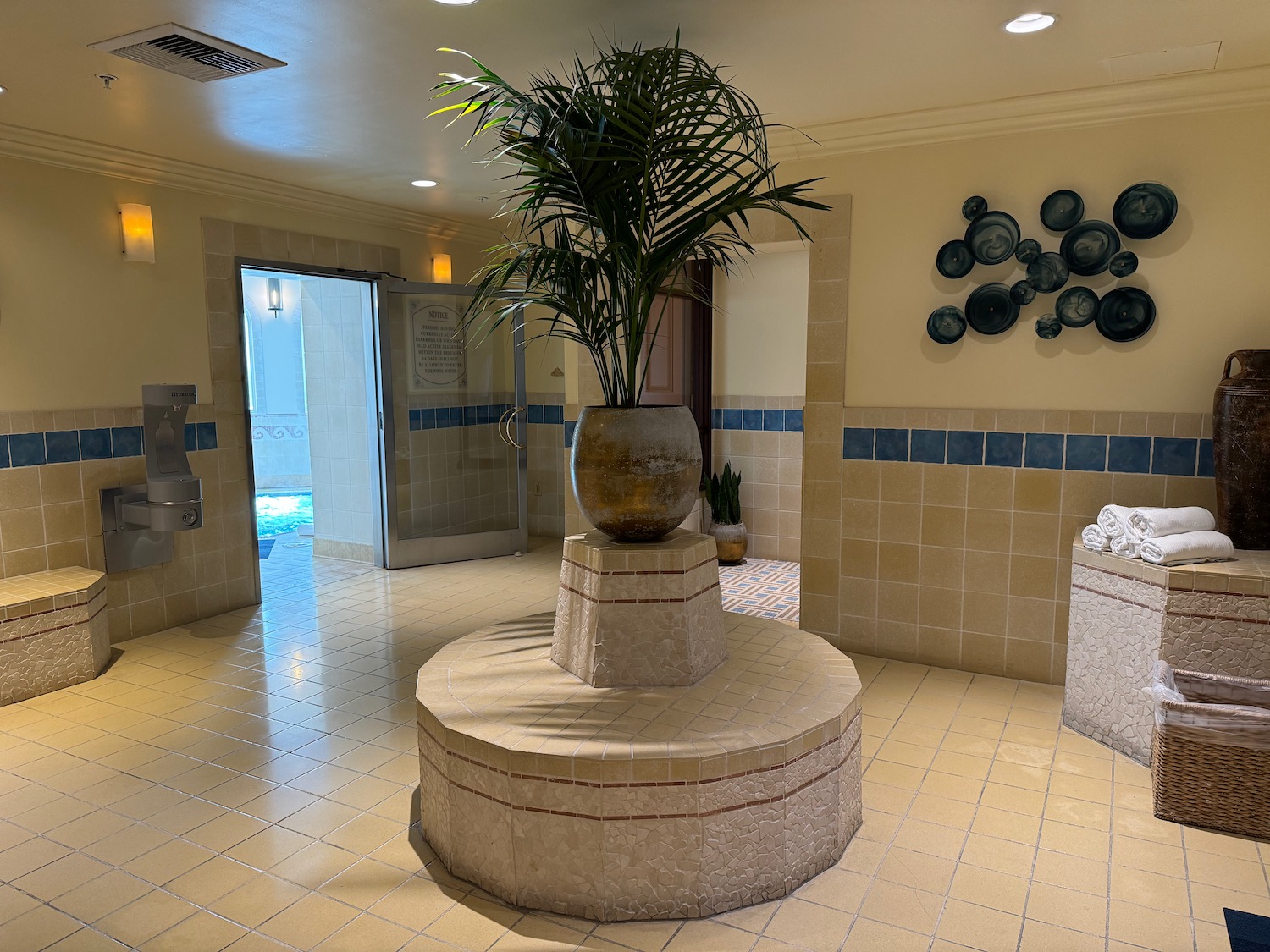 a large potted plant in a room