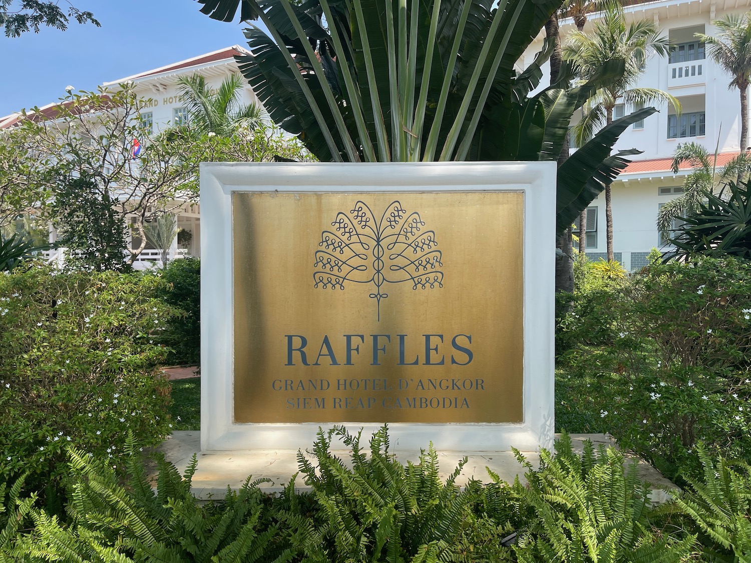 a sign in front of a palm tree