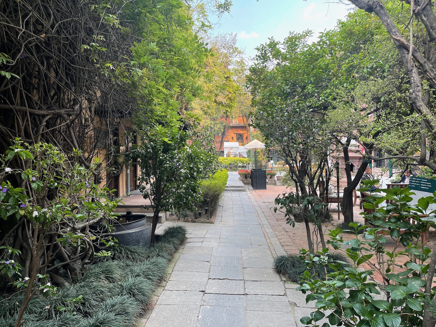 a stone path with trees and plants