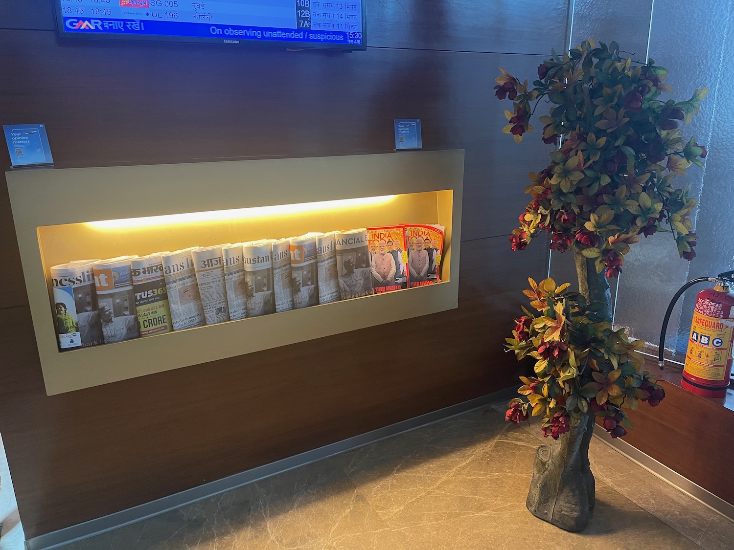 a shelf with magazines and a plant in it