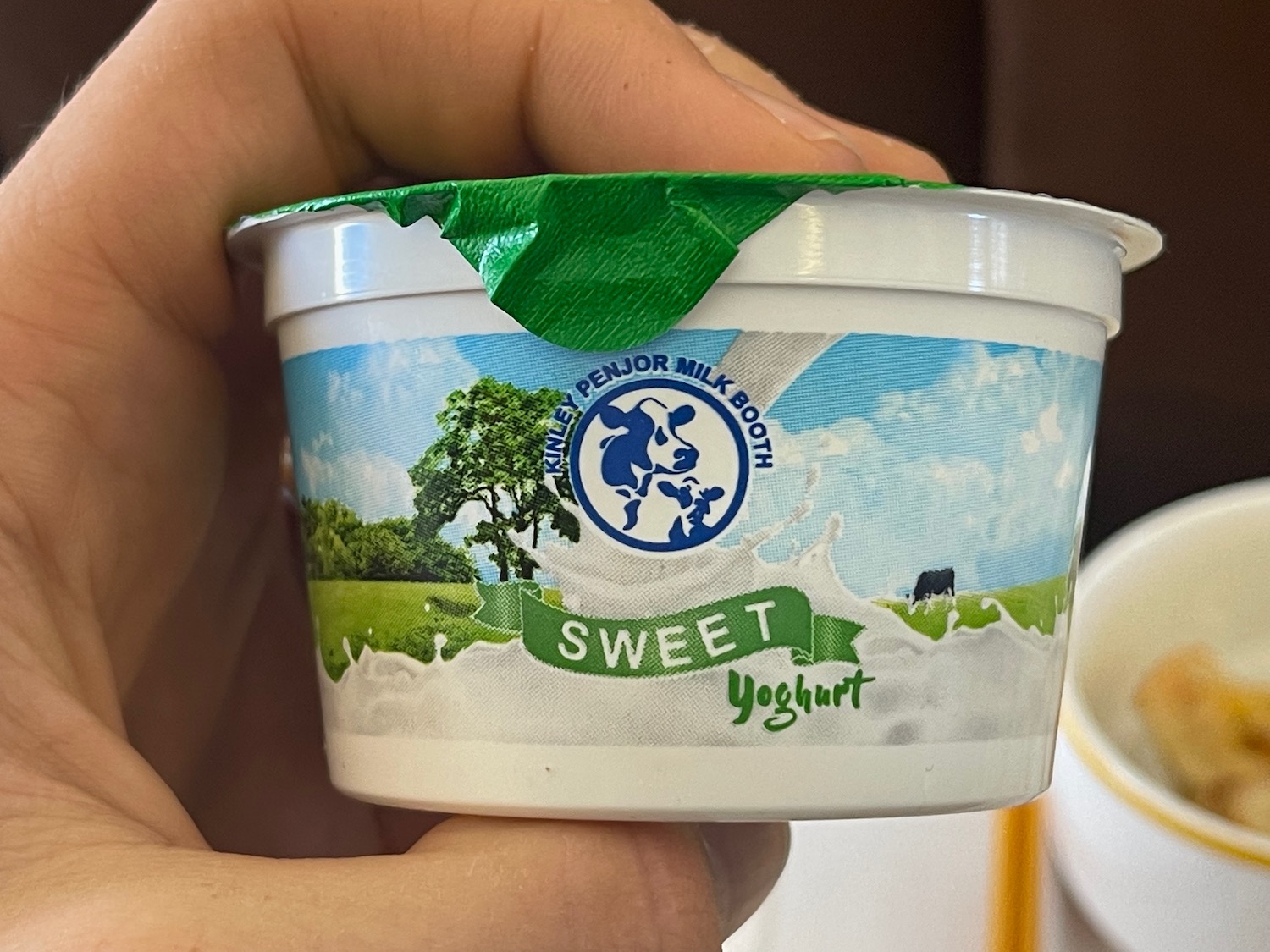 a hand holding a container of yogurt