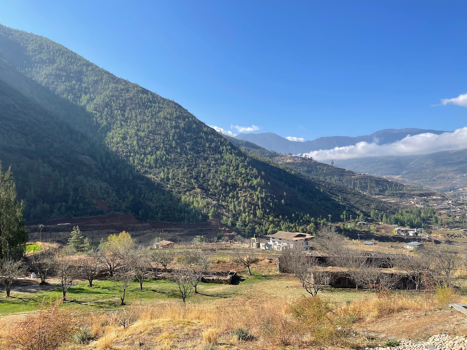 a landscape with trees and mountains