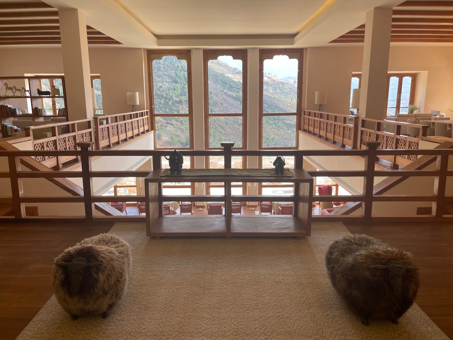 two sheep in a room with a table and windows