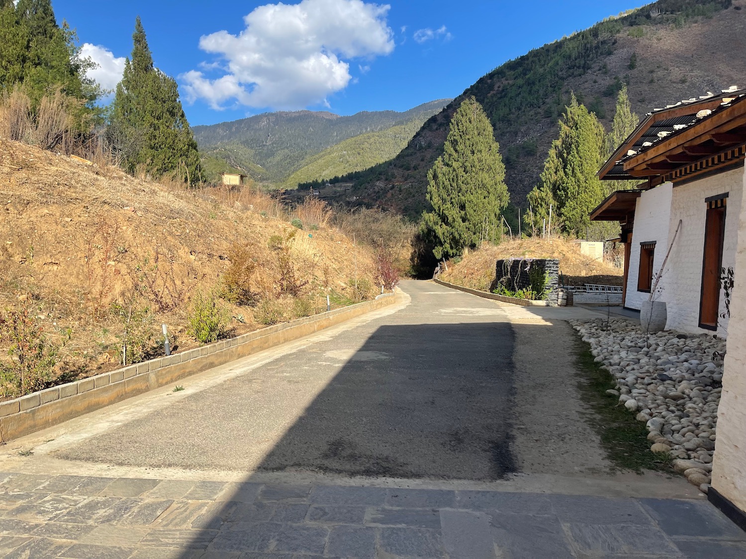 a road leading to a house