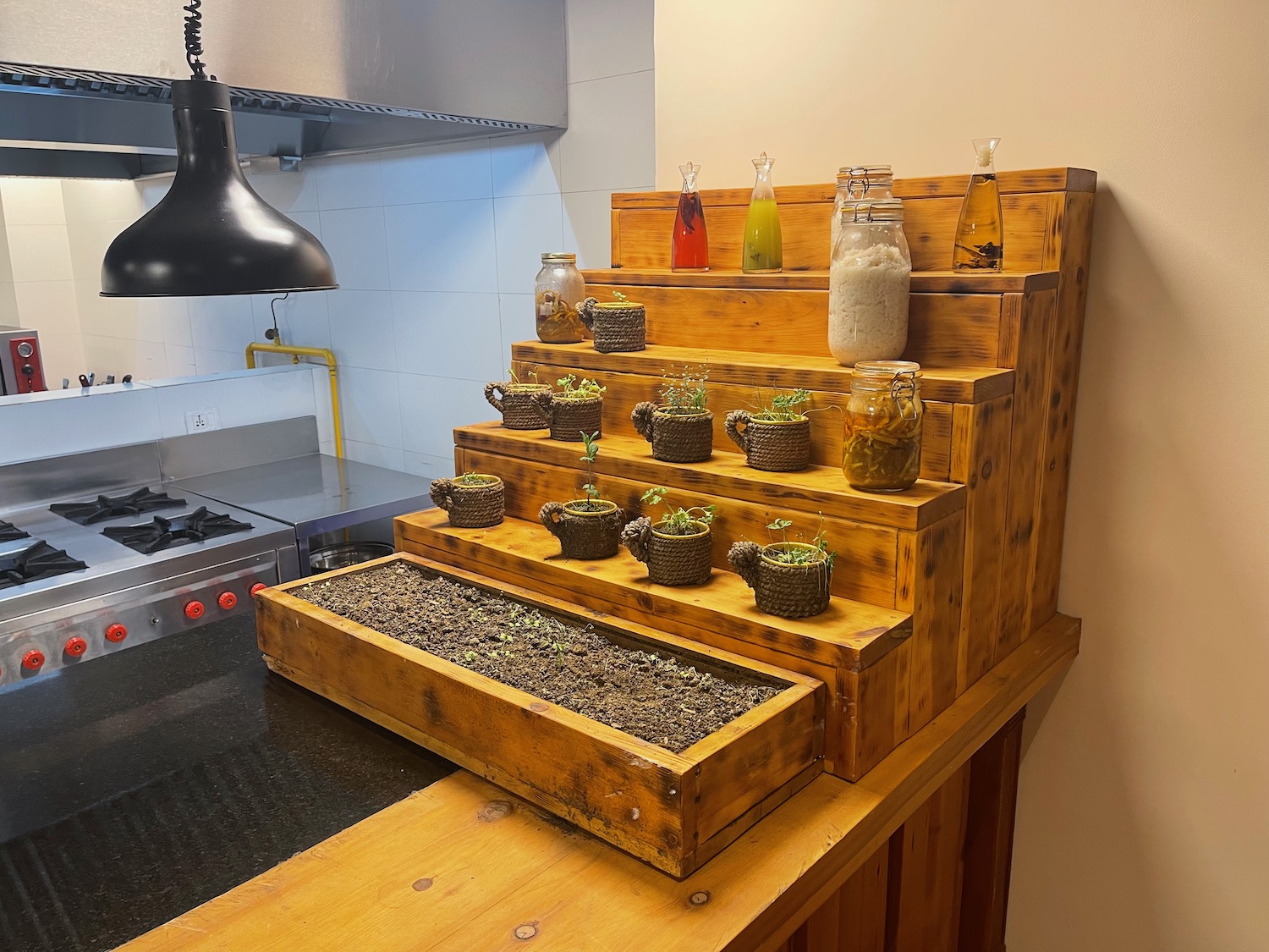 a wooden shelf with plants on it