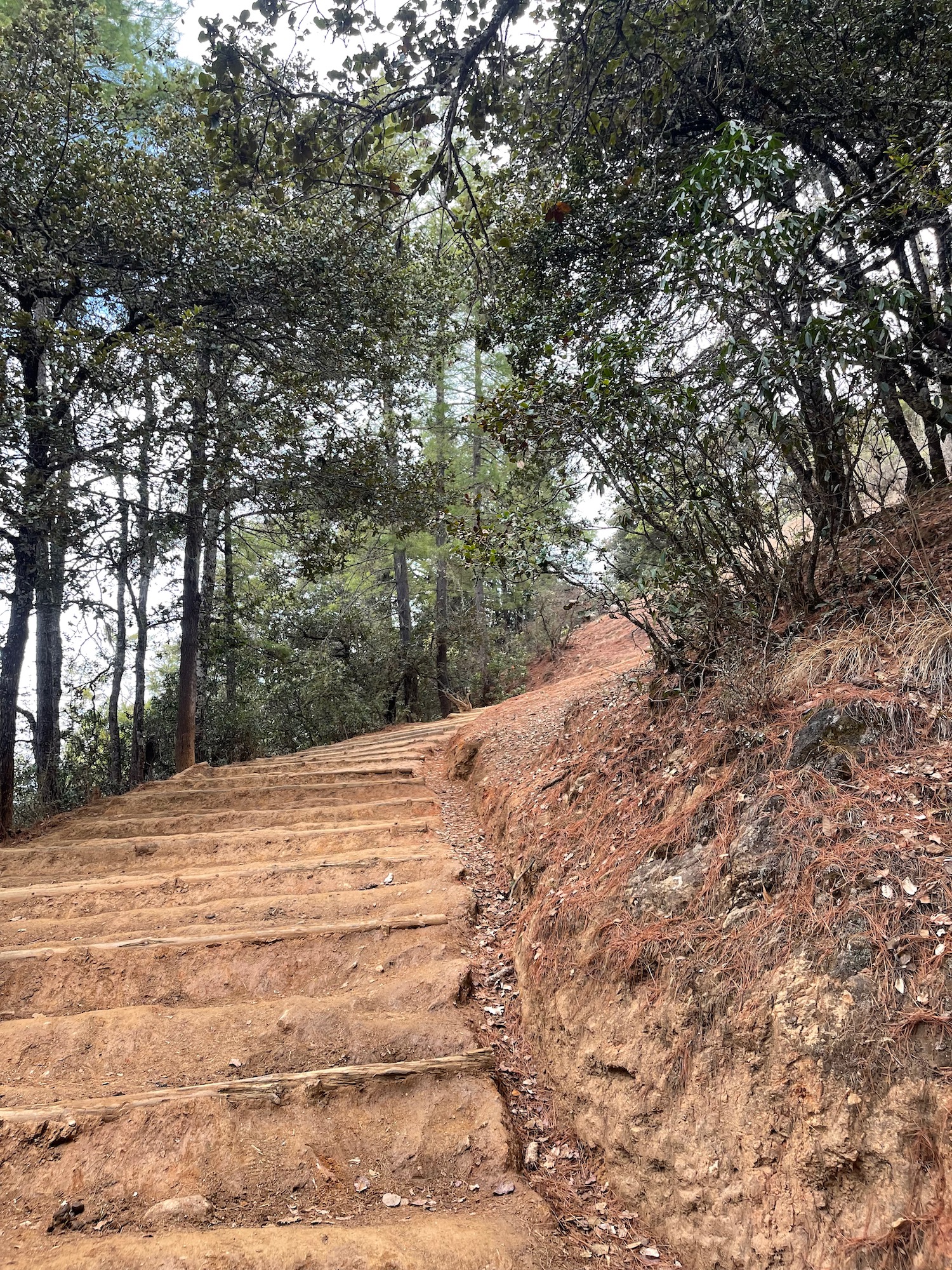 a dirt stairs leading up to a hill