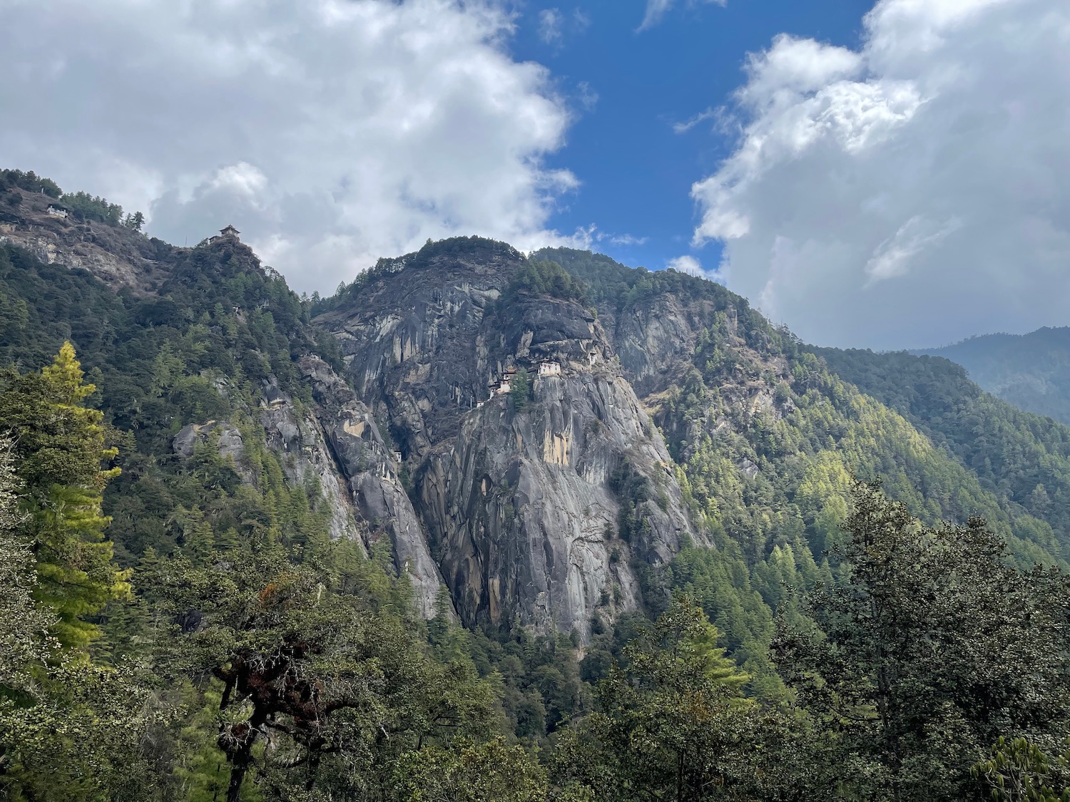 a mountain with trees and blue sky