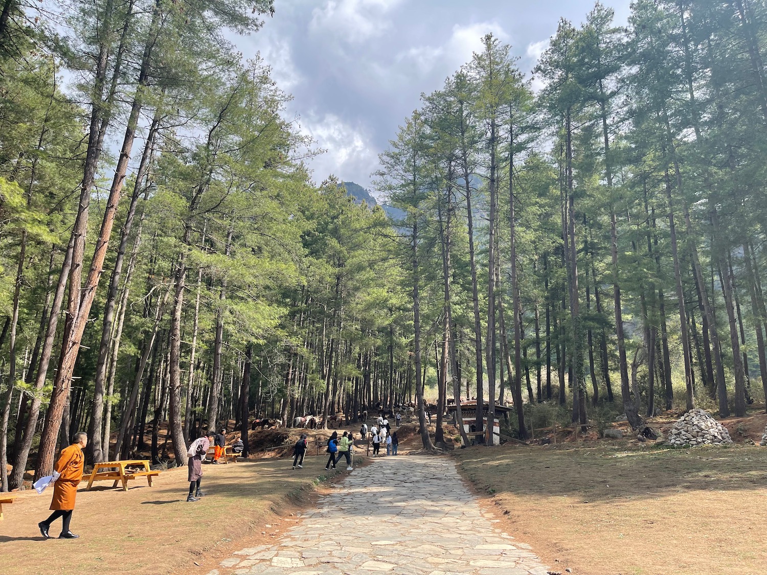 a stone path with people walking in the woods