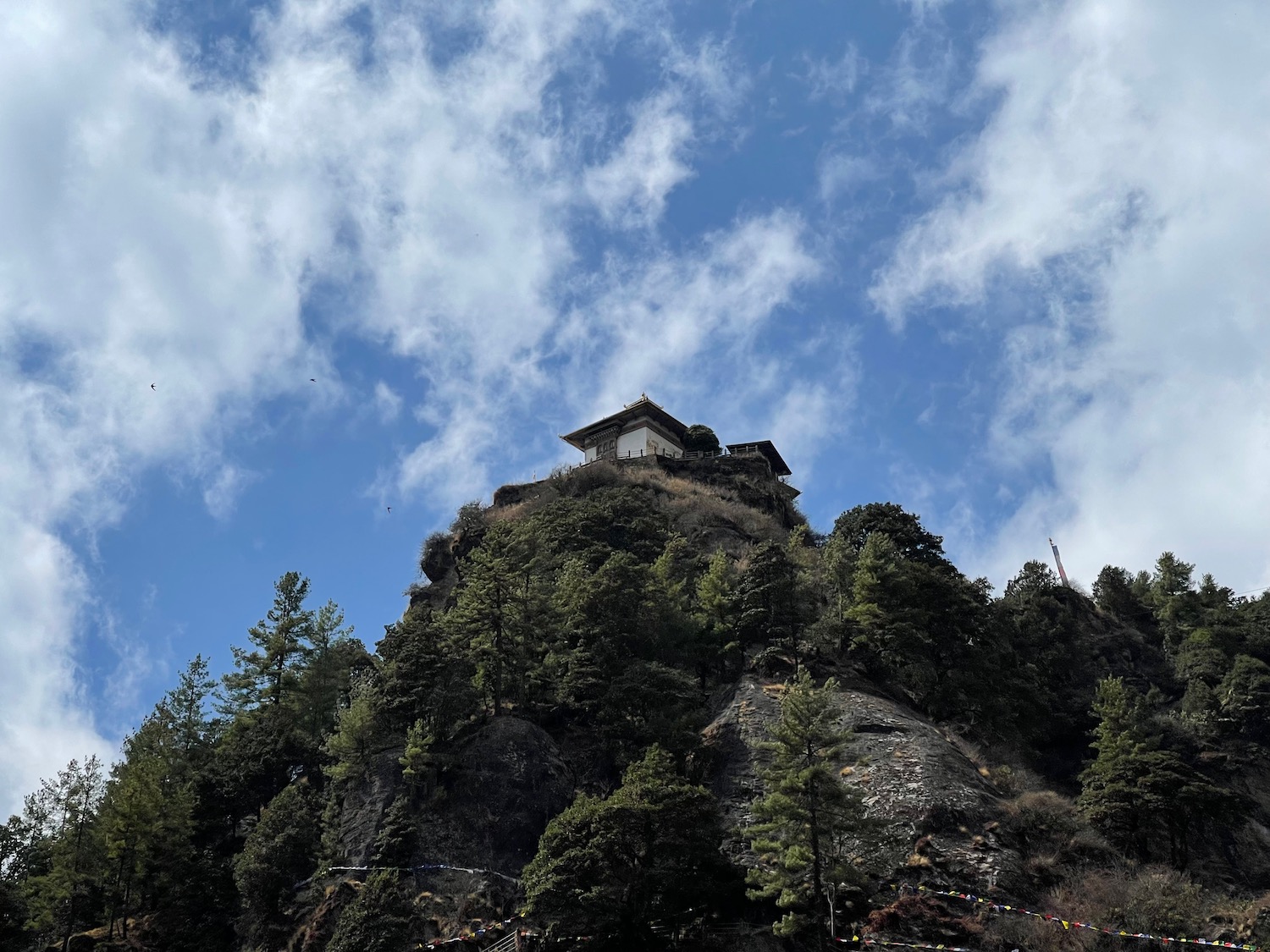 a building on a hill with trees