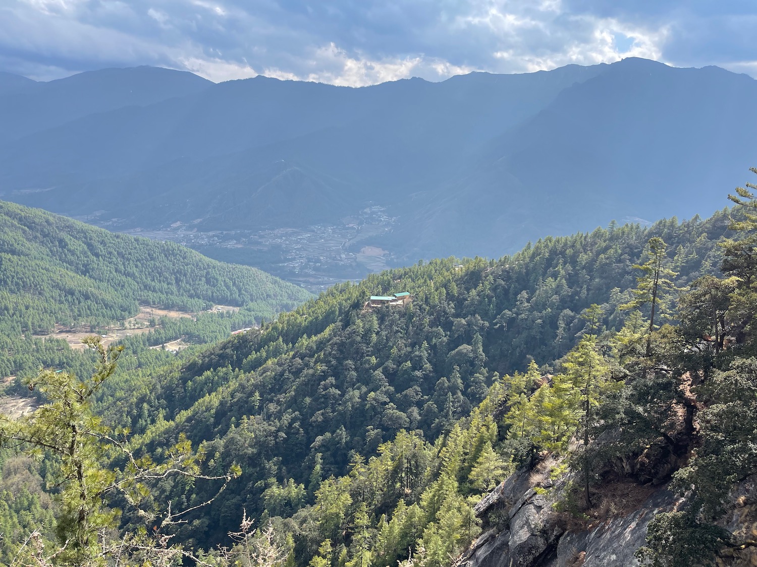 a mountain with trees and a city in the distance